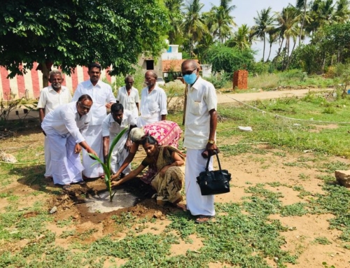 மரங்களை வளர்க்கும் மனங்களை வளர்ப்போம்!